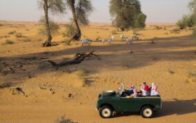 HeritageDesertSafariExperienceinDubai-Klook